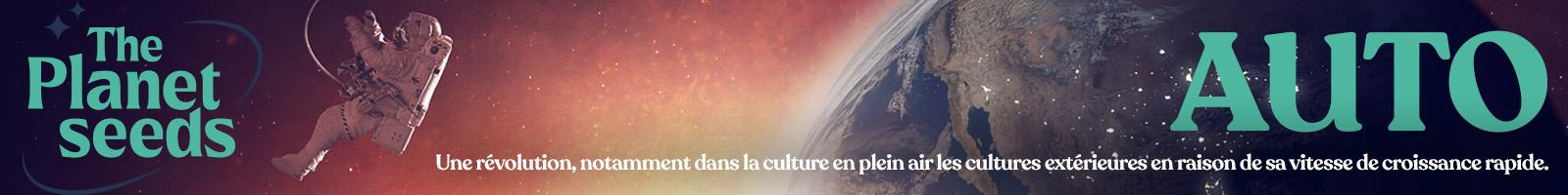 Il y a de nombreuses raisons pour lesquelles la culture à partir de graines Paradise Seeds Auto