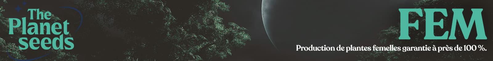 Il y a de nombreuses raisons pour lesquelles la culture à partir de graines Ripper Seeds Fem