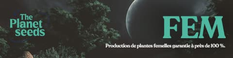 Il y a de nombreuses raisons pour lesquelles la culture à partir de graines Ripper Seeds Fem