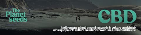 Il y a de nombreuses raisons pour lesquelles la culture à partir de graines CBD