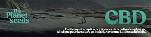 Il y a de nombreuses raisons pour lesquelles la culture à partir de graines CBD